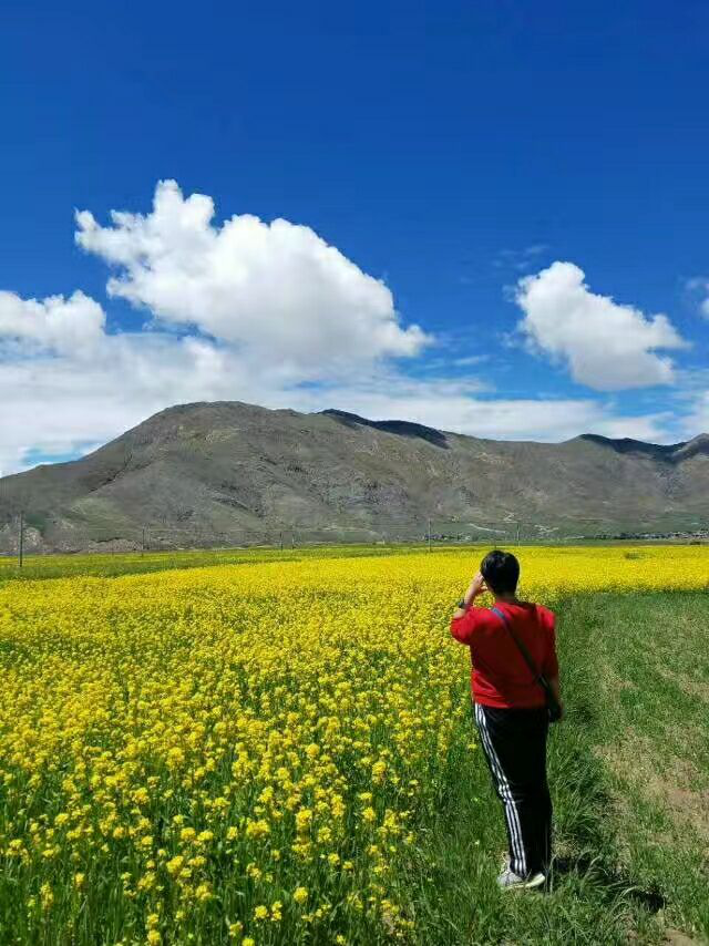 bbin宝盈集团