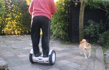 当柴犬遇上爱骑bbin宝盈集团Airwheel平衡车S3的主人……